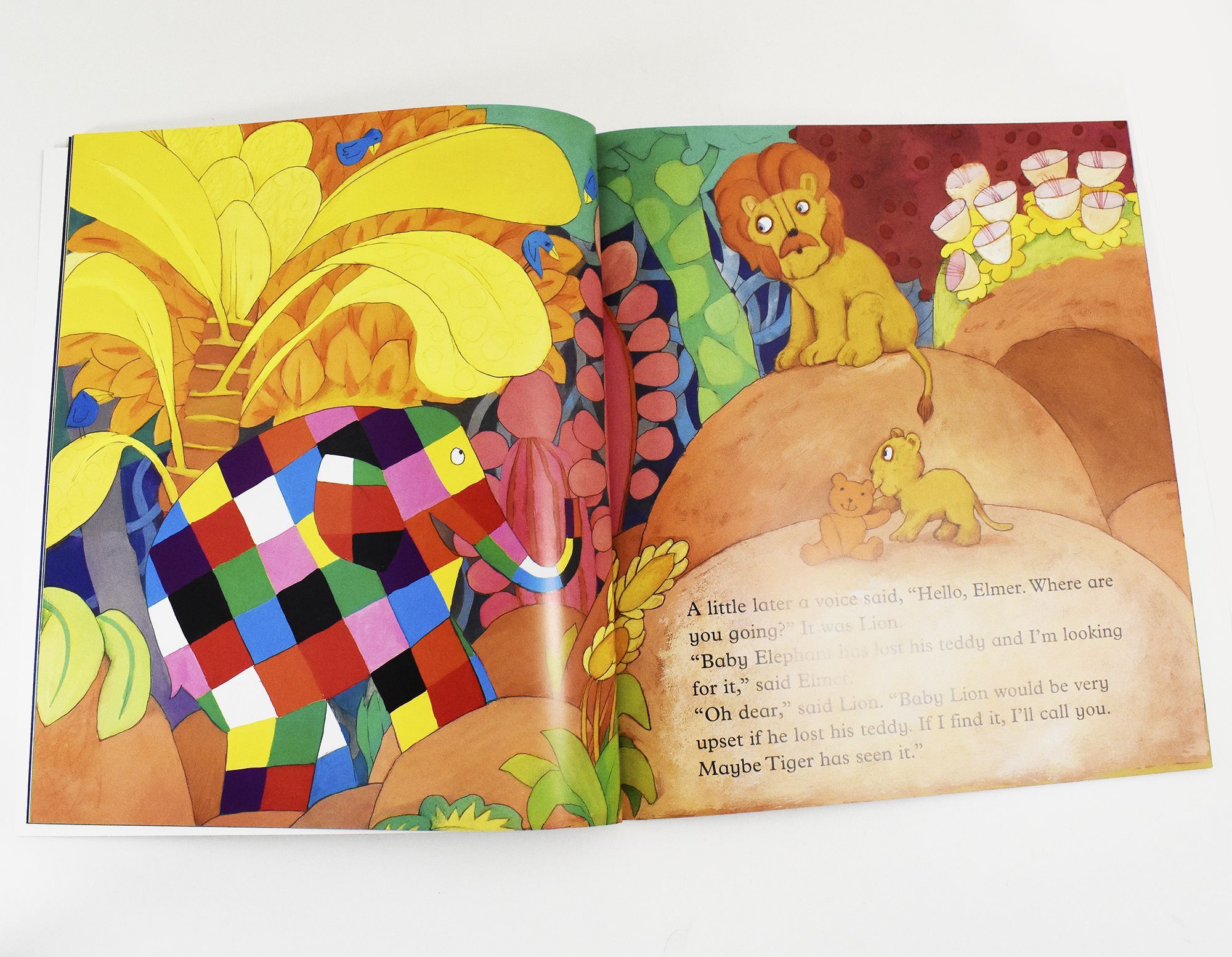 Elmer 12 Classic Picture Books Children Collection Paperback Gift Pack Set By David McKee - St Stephens Books