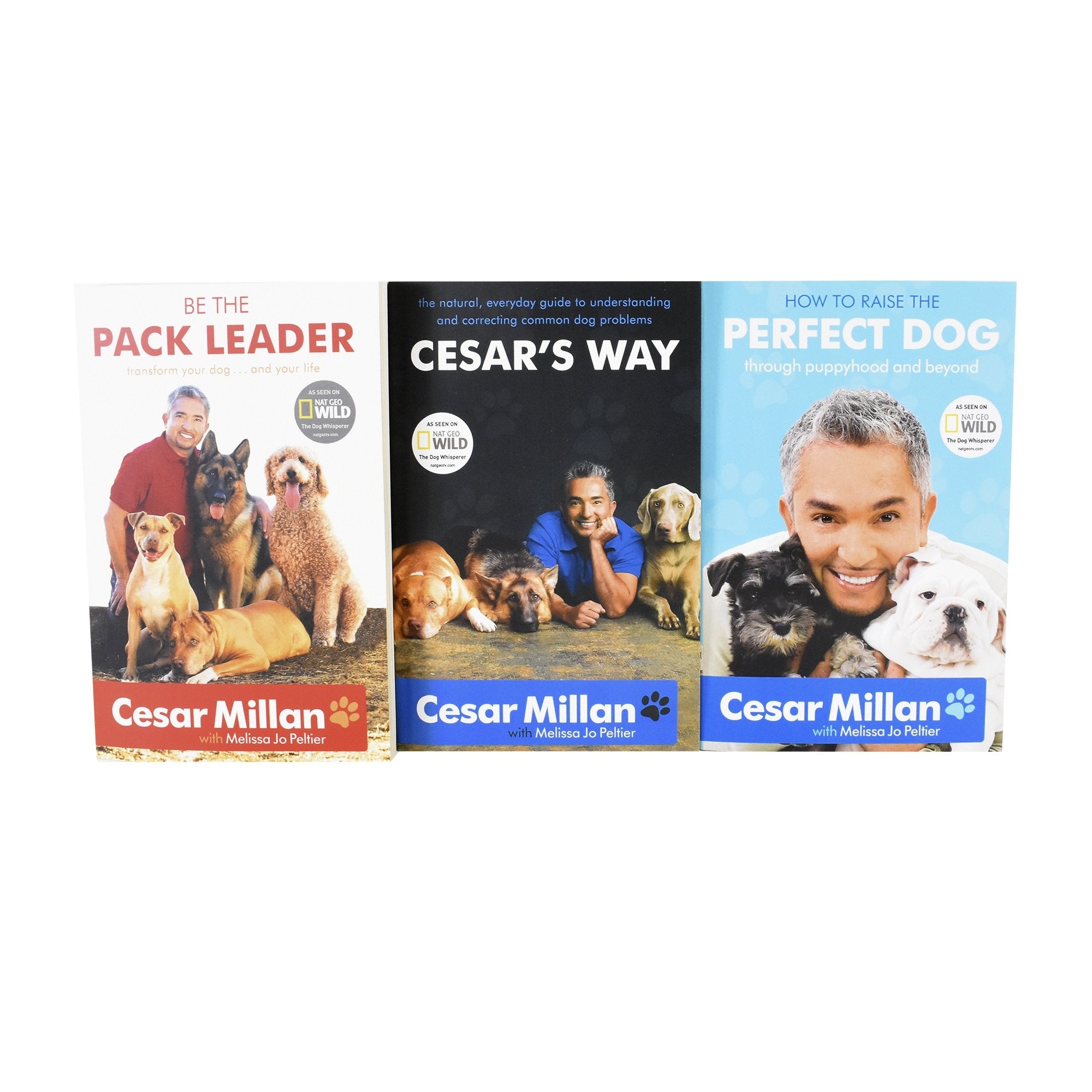 Cesar Milan 3 Books Young Adult Pack Non Fiction Collection Paperback Set - St Stephens Books